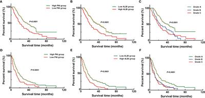 Prediction Efficacy of Prognostic Nutritional Index and Albumin–Bilirubin Grade in Patients With Intrahepatic Cholangiocarcinoma After Radical Resection: A Multi-Institutional Analysis of 535 Patients